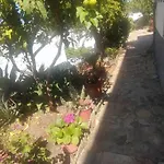 Chrisi's And Jasmin's House * 파트모스