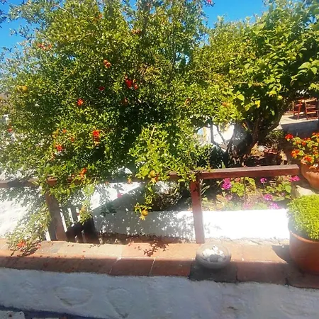 Chrisi's And Jasmin's House בית נופש *