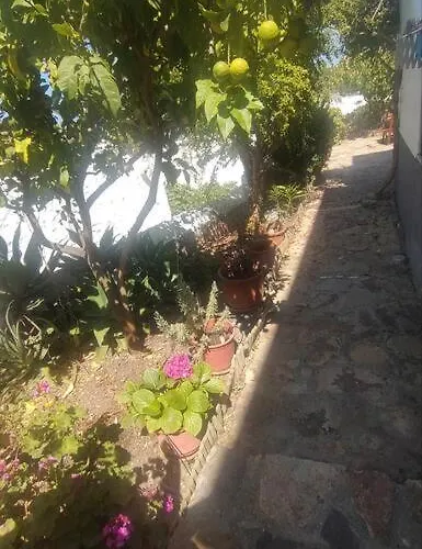 Chrisi's And Jasmin's House * Pátmos