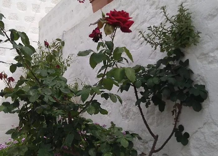 Chrisi's And Jasmin's House بيت للعطل