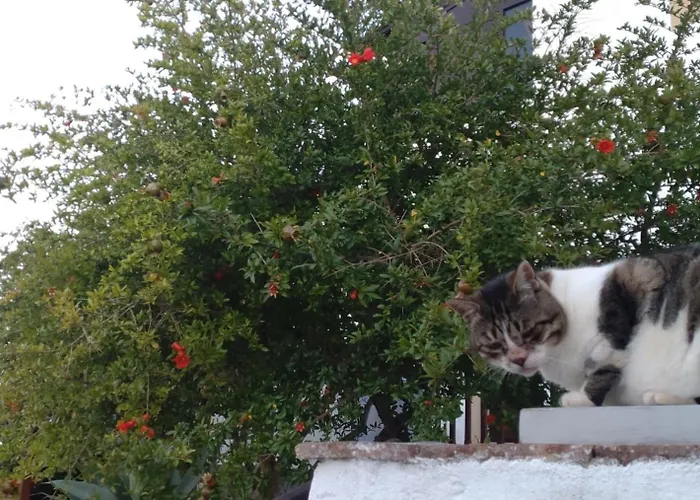 Chrisi's And Jasmin's House بيت للعطل